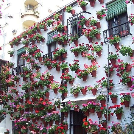 Centro Cordoba Apartaluz-8 Wifi Pk Exteriör bild