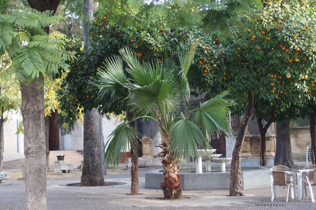 Centro Cordoba Apartaluz-8 Wifi Pk Exteriör bild